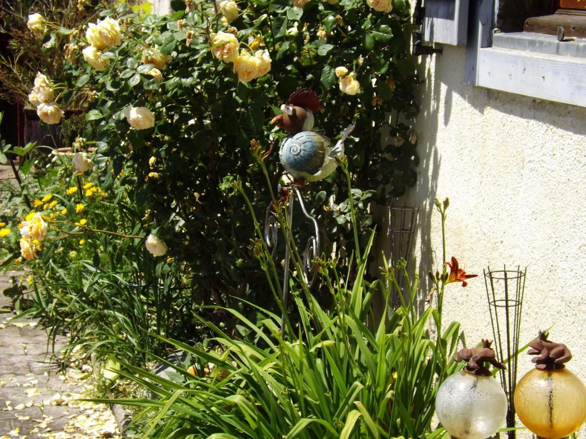 Gite Perisse, Le Petit Gite Apartamento Libaros Exterior foto
